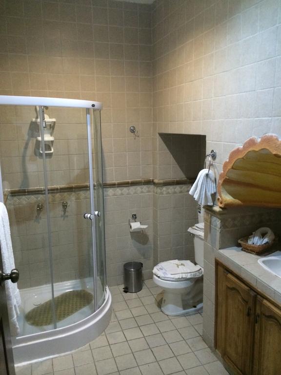 Hotel Eden De Los Angeles サン・ミゲル・デ・アジェンデ 部屋 写真